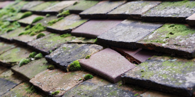 Chaul End roof repair costs